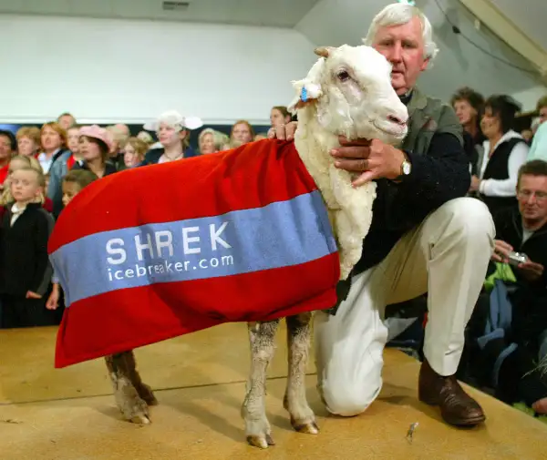 30dam-shrek-4.webp