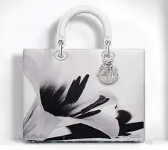 31347efd9cd51183e533dd7572888e26--christian-dior-net.webp
