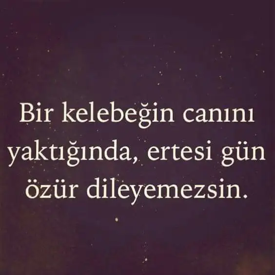 31f38bd0473514e1673d607c55064c20.webp