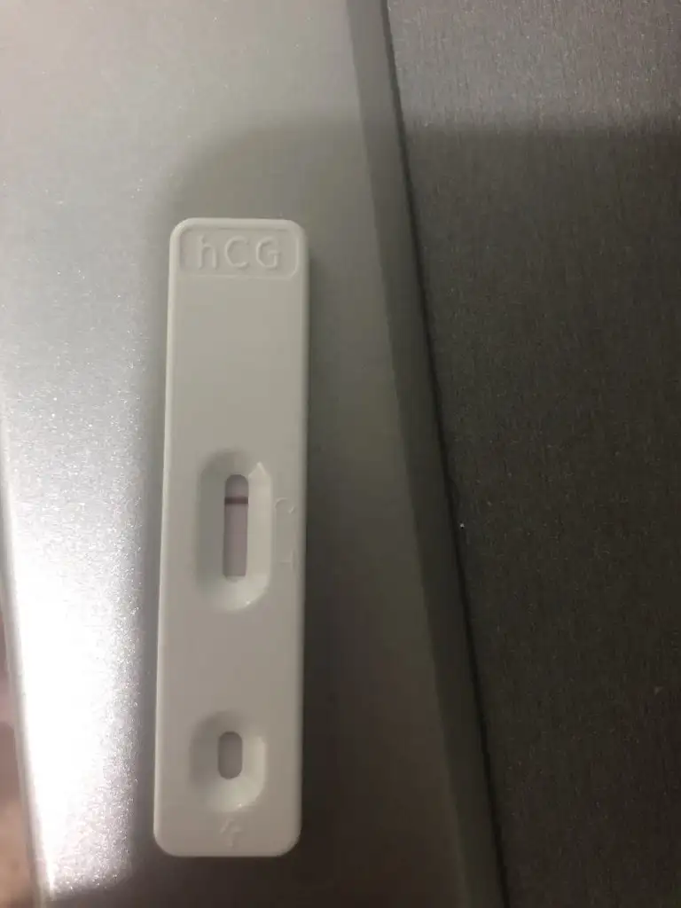 327E036D-3E2C-41F3-BE95-6000BF919E8B.webp
