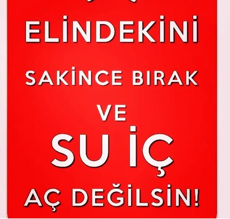 327E1B2A-1489-4EA0-83FD-A90D503B0002.webp