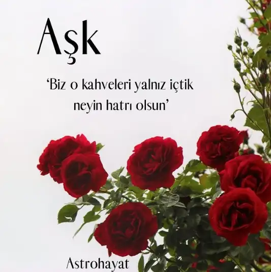 33.webp