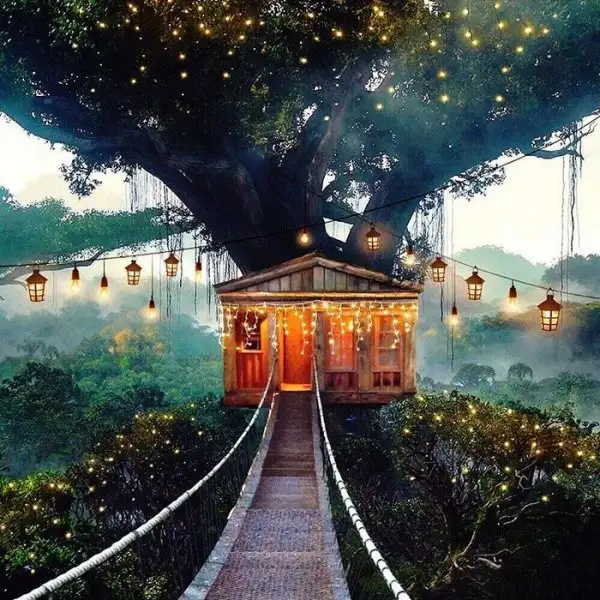 338030e749b74853830d45c5ea5e5d38.jpg.700x0_q85_autocrop_crop-smart_upscale.webp