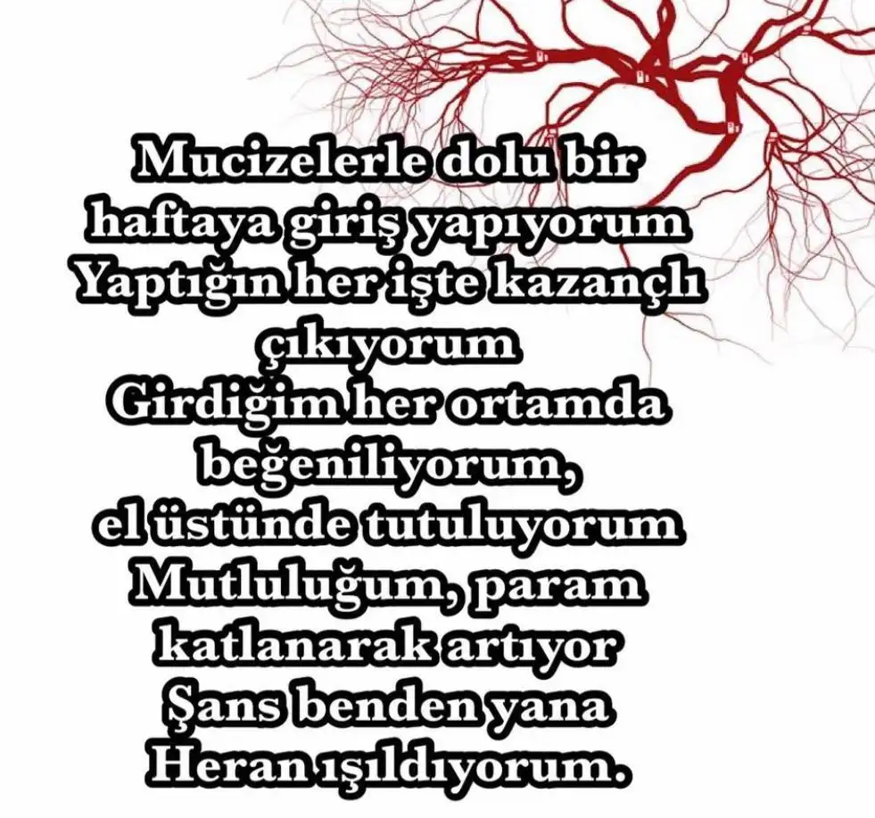 33B73234-5942-41A4-B738-CAD46D03A3BB.webp