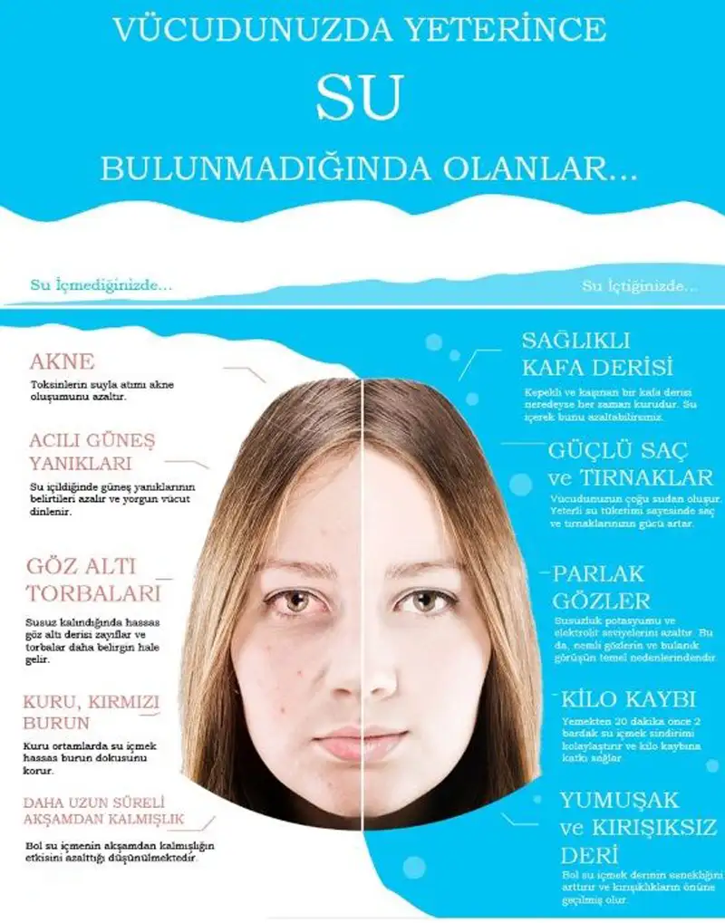 33bce2beca9c88ec3f961cf0eaada006.webp