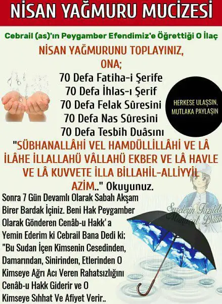 33D02A53-A33C-4FC3-9D02-4EFBE2152CA6.webp