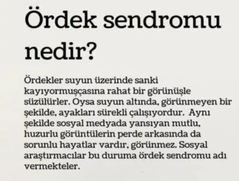 33D0C1E8-2044-40E5-B15B-FF534353BECE.webp