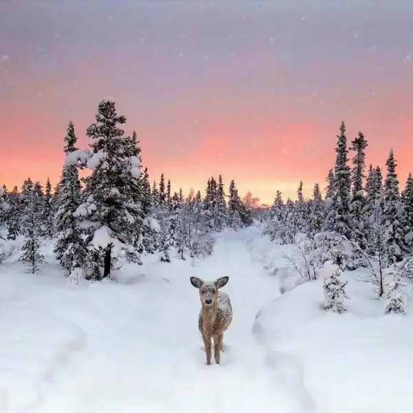 33f10d3e4e28407da17a275afa1cdf67.jpg.700x0_q85_autocrop_crop-smart_upscale.webp
