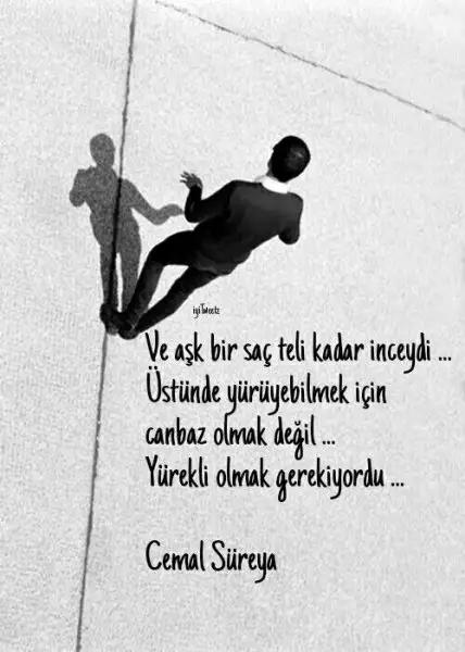 34122514589b5197cedf3158f5abea78.webp