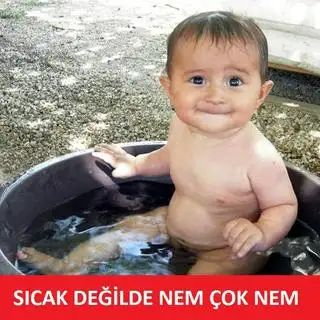 3439860-320x320.webp