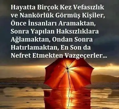 343D4743-8CC2-43C1-B8B2-5C56E1E1F56C.webp