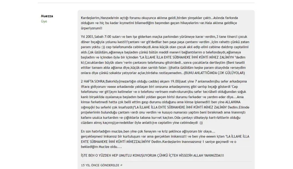 34566.webp