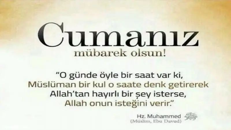 355dcuma8.webp