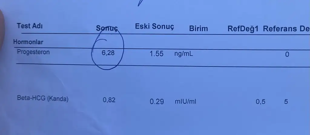 358C0AFD-48E8-4D08-BDAC-341B7266E2ED.webp