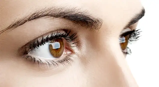 35a9b3e23984af10_636x350.webp