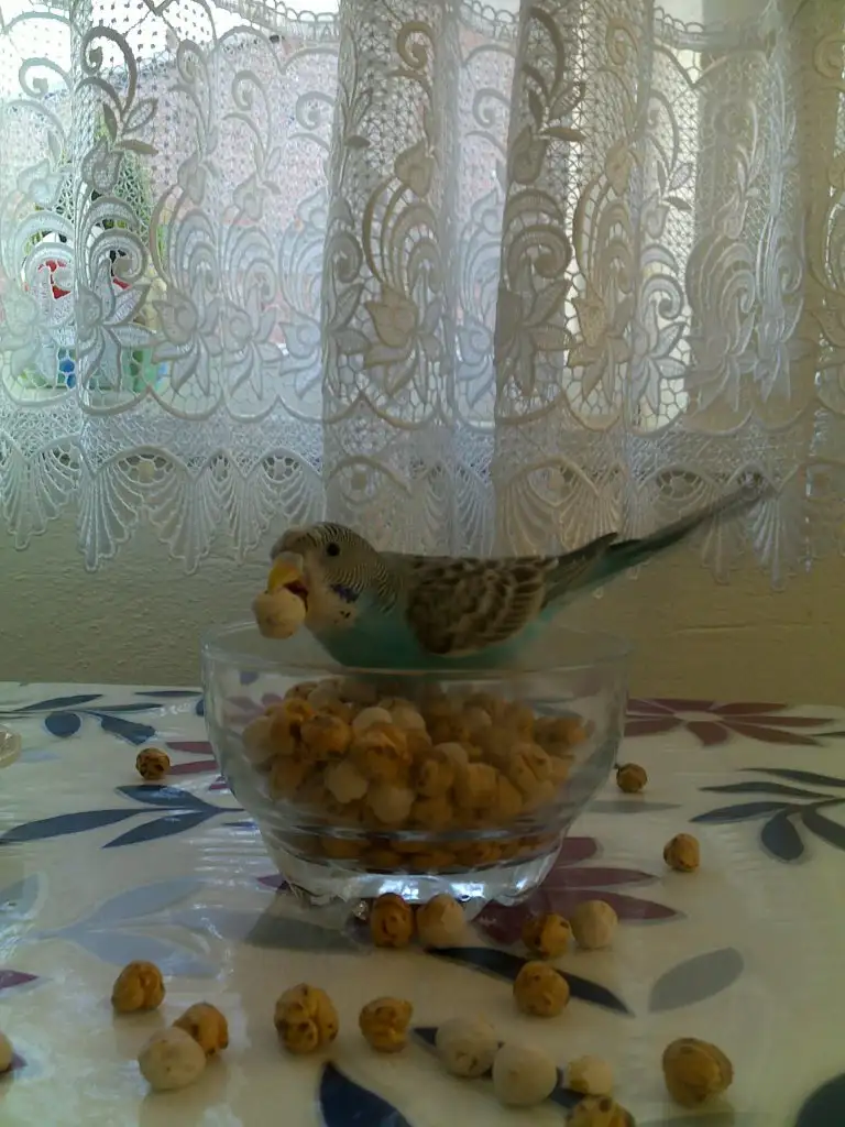 362.webp