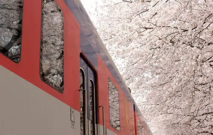 3634258b037f404997c24cd79406c071.jpg.700x0_q85_autocrop_crop-smart_upscale.webp