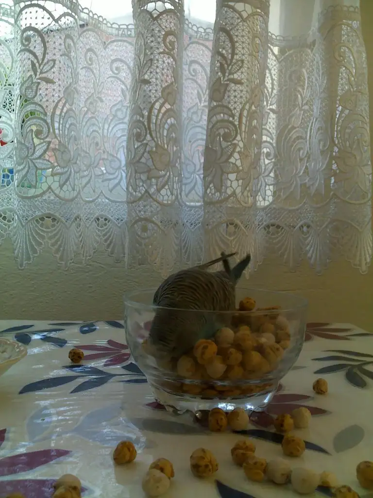 364.webp