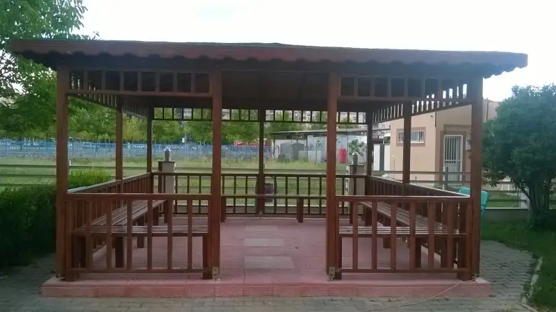 36415491.webp