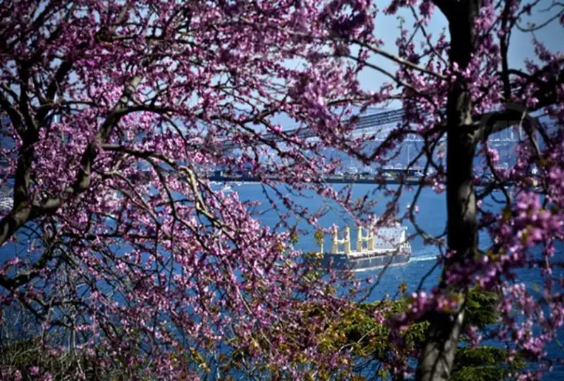 37365_13.webp