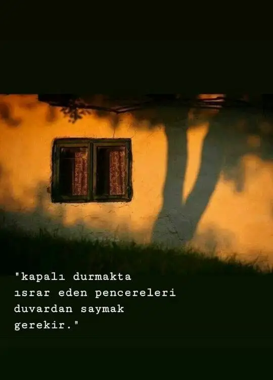 37bb4a9064f488be212ba7d93648ffe2.webp
