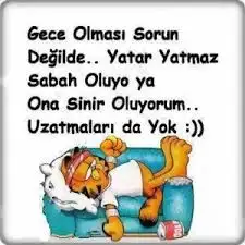 398ea8176709af3360a165e6ec3cefbe.webp