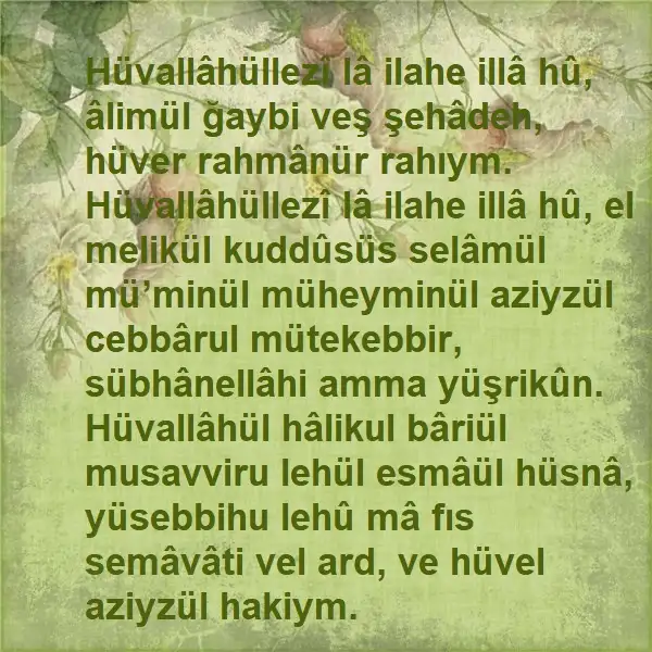 39e537a8dcc2t.webp