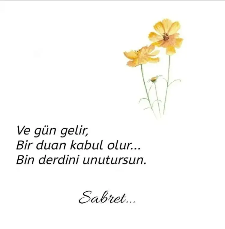3AD926BA-682F-4F72-9D5C-7B63D4C9A92B.webp