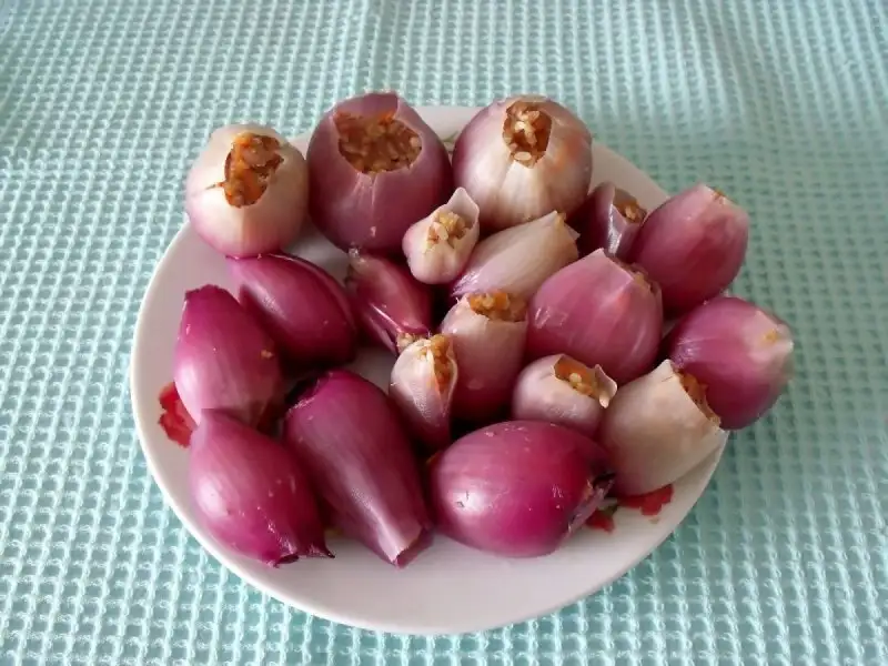 3b826a0d_l.webp