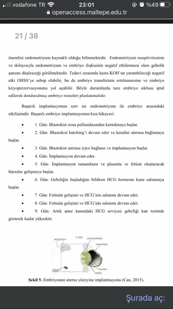 3CE907BD-4444-4AD7-B87D-9B84A4DFB5BB.webp