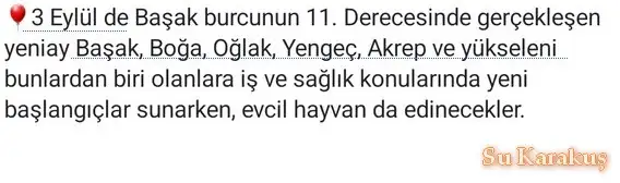 3eytl bşk.webp