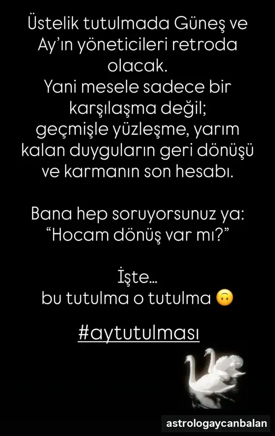 3mart (3).webp