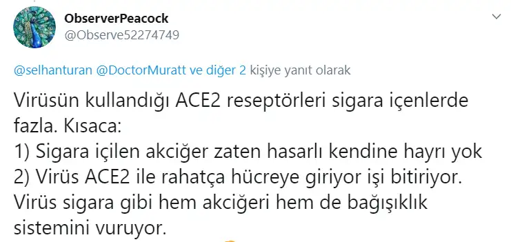 3sğ.png