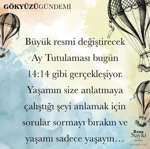 4 (2).webp