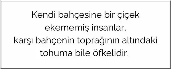4 agu aslan 0 - Kopya.webp