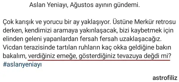 4 agu aslan 0.webp