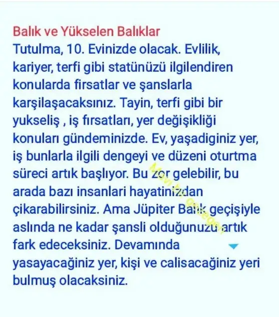 4 aralık 3 (13).webp