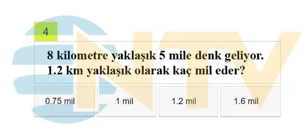 4.webp