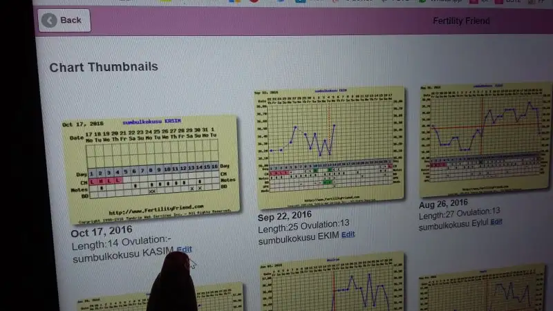 4.webp
