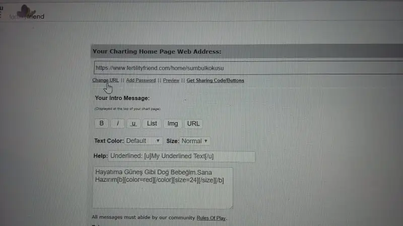 4.webp