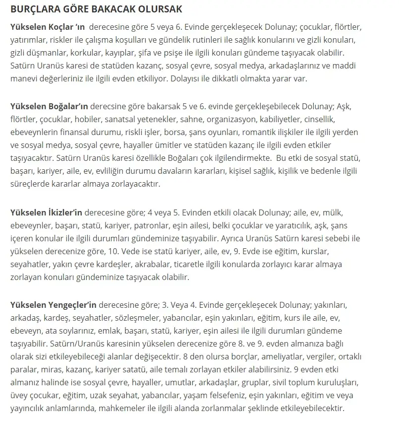 4.webp