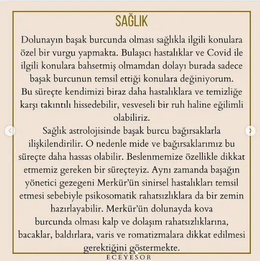 4.webp
