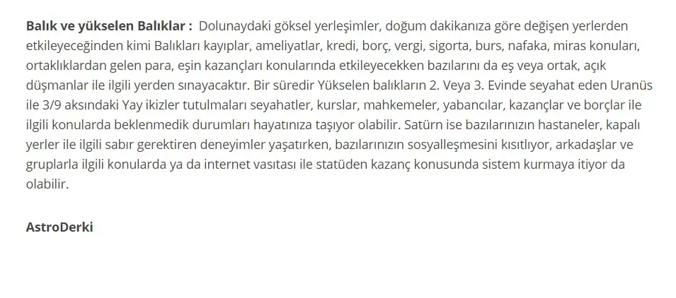 4.webp
