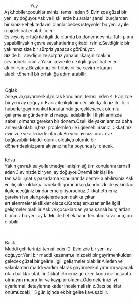 4.webp