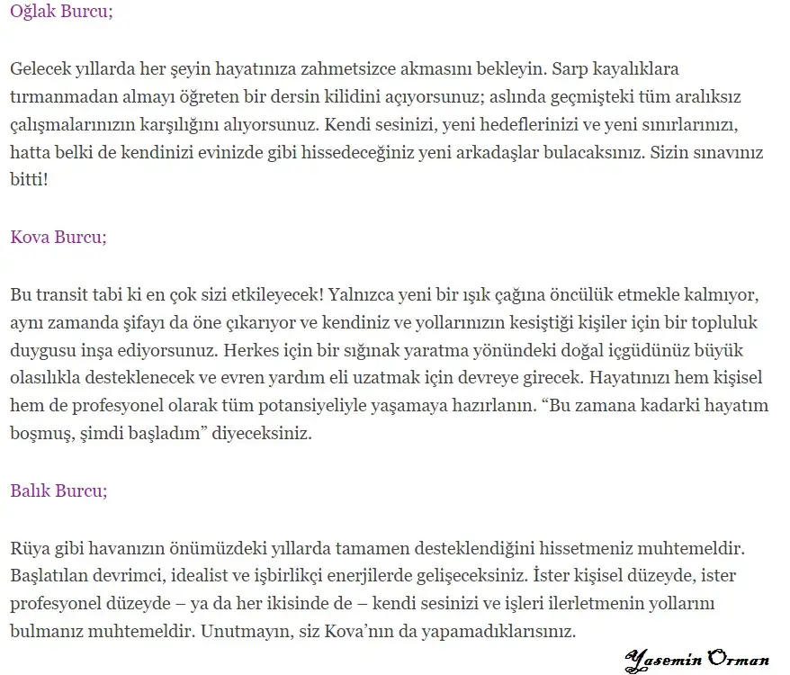 4.webp