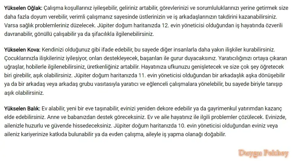 4.webp