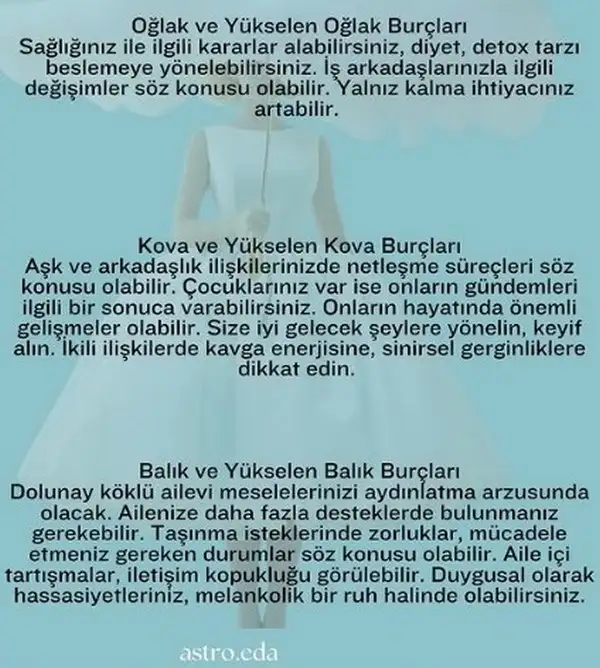 4.webp