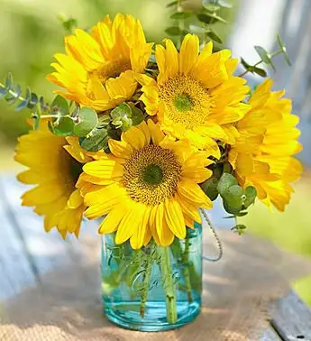 4206280063946c77dff96a862a3f705c.webp