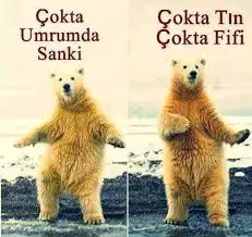 42162724-38E5-47FE-9EFD-0D255EC50BC4.webp