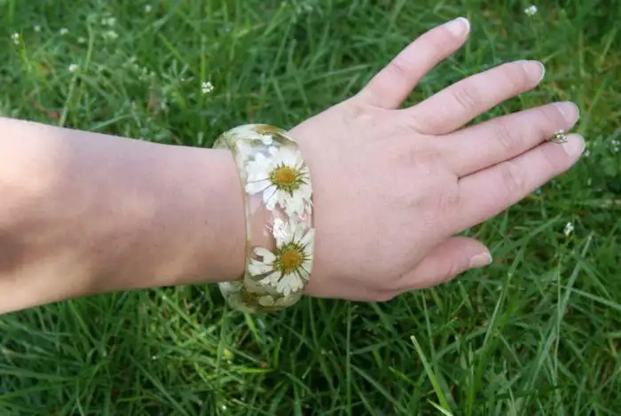 42cb3be499c74594b0b49a2569f80c51.jpg.700x0_q85_autocrop_crop-smart_upscale.webp